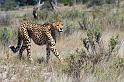 20090615_133353 D3 (1) X1